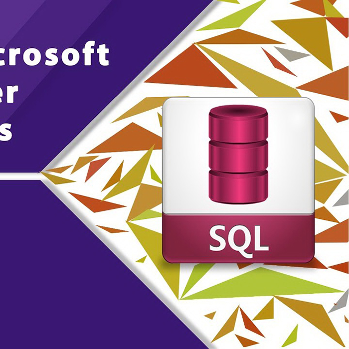 Developing Microsoft SQL Databases